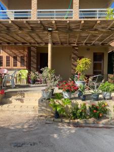 un patio con un mucchio di piante in vaso di Chalés Sinfonia do Mar - Vista Paradisíaca a Icapuí