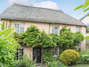 an old cottage with a thatched roof at Laurel Cottage in Stoke Gabriel