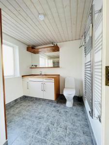 uma casa de banho com um WC e um lavatório em aday - 3 bedrooms luxurious apartment in Svenstrup em Svenstrup