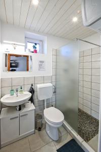 a bathroom with a toilet and a sink and a shower at Borsika Napterasz Pihenőház in Pálosvörösmart