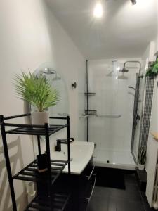 a bathroom with a shower and a toilet and a sink at Coste Investissement - Le petit Catalan in Marseille