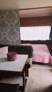 普佐日的住宿－caravane proche puy du fou，小房间设有床、桌子和沙发