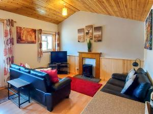 a living room with two couches and a fireplace at Hooked Rise Holiday Lodge in Dunkeswell
