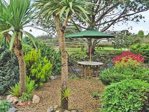 a garden with a table and a green umbrella at Scholten Lodge in Roche