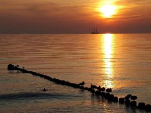 Příroda nedaleko apartmánu