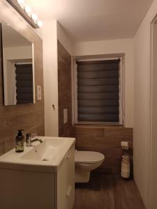 a bathroom with a sink and a toilet and a window at Holzhaus Fechheim in Neustadt bei Coburg +13 photos