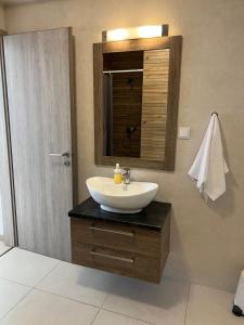 bagno con lavandino e specchio di Hatvan Central Apartment a Debrecen