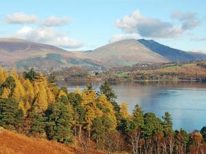 a view of a lake with trees and mountains at Bay Tree in Keswick