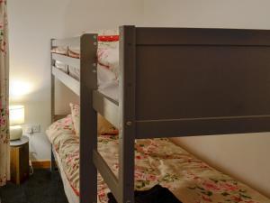 a bunk bed in a room with a bunk bedouble at Llwyn Rhedyn in Blaenau-Ffestiniog