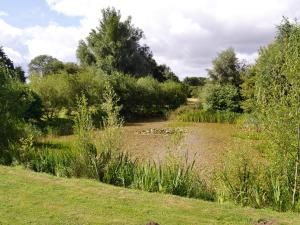 a river in a field with grass and trees at Lodge Cottage - B6008 in Wendling