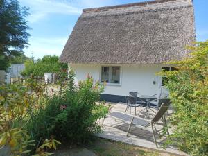 Zahrada ubytování Ferienhaus Ankerplatz 1