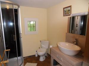 a bathroom with a toilet and a sink and a shower at La villa les oliviers in Vidauban +11 photos