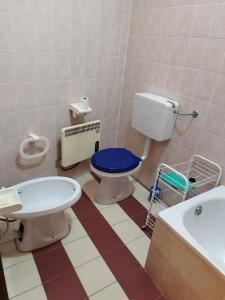 een badkamer met een toilet en een wastafel bij Appartamento Germano - Regina delle Alpi in Preinardo