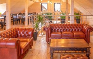 杰泽扎尼Beautiful Apartment In Jezierzany的客厅里有两张皮沙发和一张桌子