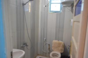 e bagno con doccia, servizi igienici e lavandino. di Golden nubian guesthouse a Aswan