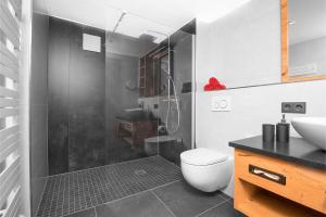a bathroom with a shower and a toilet and a sink at Ferienwohnung im Chaletstil Sonnenidyll 51 qm Wellness Fitness Sauna Bergrödelhof in Feilitzsch +41 photos