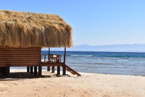 a beach with a straw hut and the ocean at Shanty beach camp suer in Nuweiba +1 photo