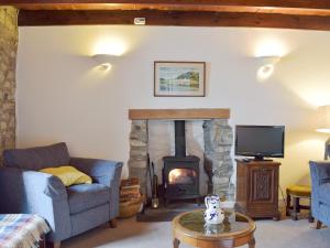 sala de estar con chimenea y TV en Trem-y-don Cottage, en Trevine