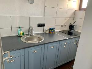 a bathroom with a sink and a counter top at Vila Victory in Tohanu Nou +36 photos