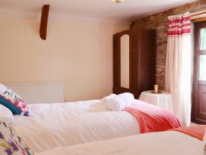 a bedroom with two beds and a window at Ty Coch Cottage in Dihewid
