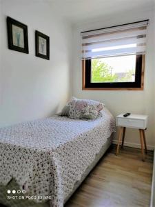 Habitación pequeña con cama y ventana en Santa Teresa Hostel, en Temuco