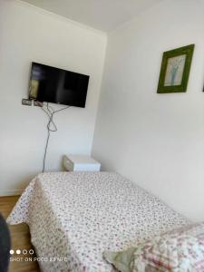 1 dormitorio con 1 cama y TV de pantalla plana en la pared en Santa Teresa Hostel, en Temuco