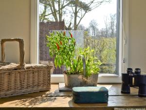 a room with two potted plants and a window at Evie Rose Cottage in Elsenham