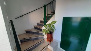a plant in a vase sitting on the stairs at Casinha do Rui in Sines