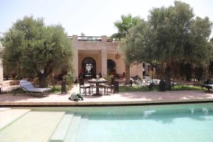 a swimming pool in front of a building with trees at Charmante Villa Riad Dharma in Essaouira