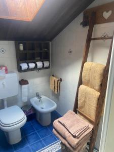 uma casa de banho com um WC branco e um lavatório. em Casa Gran Paradiso em Cogne