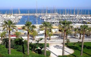 a marina with boats in the water and palm trees at La bayorre in Hyères