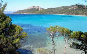 a view of a beach with blue water and trees at La bayorre in Hyères