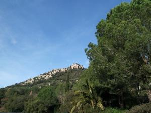 a mountain with trees and a blue sky at La bayorre in Hyères