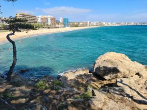 een strand met een boom en een rots in het water bij Appartement Sant Antoni in Sant Antoni de Calonge