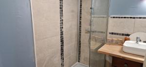 a bathroom with a shower and a sink at Le Viking entre mer et terre in Vaux-sur-Aure
