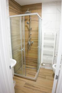 una doccia con una porta in vetro in un bagno di Apartman Ravna Planina a Pale Altre 23 foto