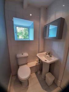 a small bathroom with a toilet and a sink at Selah Teifi spectacular river view with games room in Llandysul +30 photos