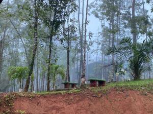 dos bancos sentados en una colina en un bosque en Bahías Lodge, en Rincón