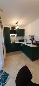 uma cozinha com armários verdes e um balcão branco em Jagoda 11 em Karpacz
