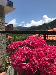 Üldine mäevaade või majutusasutusest HOTEL MARI Metsovo pildistatud vaade