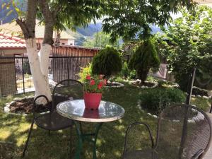 Aed väljaspool majutusasutust HOTEL MARI Metsovo
