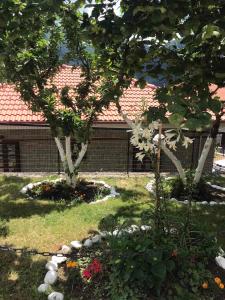 Aed väljaspool majutusasutust HOTEL MARI Metsovo