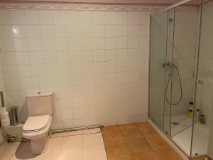 ein Bad mit einem WC und einer Dusche in der Unterkunft León habitaciones in Madrid