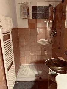 a small bathroom with a sink and a shower at LA GUARDIOLA DEL TEMPIO in Perugia