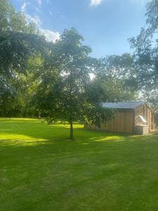 a tree in the middle of a field with a building at Meadows Lodge in York