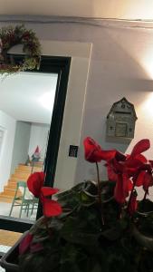 a plant with red flowers in front of a mirror at La Casa del Bosco - Unique two storey House with garden in Naples
