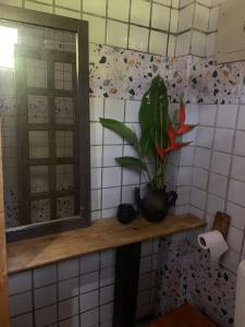 a plant sitting on a shelf in a bathroom at Vivenda Vivencias in Matta de São João