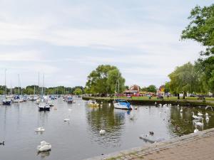 a group of ducks swimming in a river with boats at The Old Thatch in Christchurch