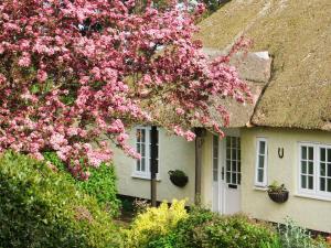 una casa con fiori rosa di fronte di Monks Thatch a Otterton