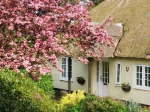 a house with pink flowers in front of it at Monks Thatch in Otterton